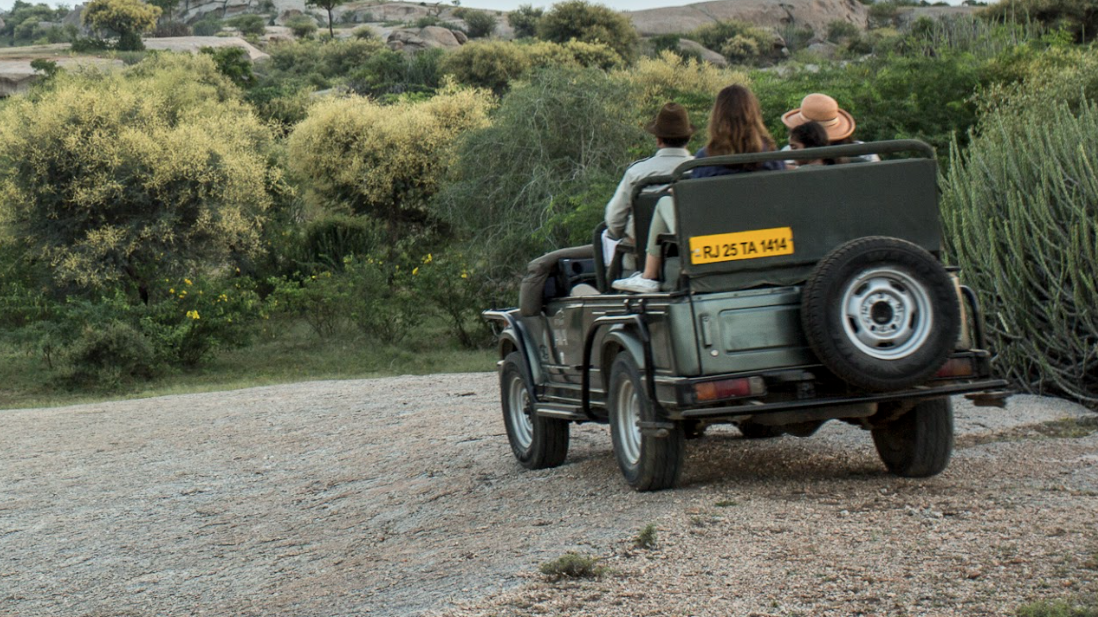 Jeep Safaris | Ameliya Safaris safari in India